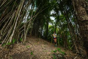 BIB: 
                            <button type="button" onclick="openModal(19395997)" class="btn btn-primary btn-sm float-right btn-popup" data-toggle="modal" data-target=".modal-high-quality">
                        <i class="fas fa-shopping-cart"></i> Add to Cart
                    </button>
                                            <button type="button" onclick="isThisMe(19395997, true)" class="btn btn-success btn-sm float-right btn-popup btn-isme hidden" data-toggle="tooltip" data-placement="bottom" title="นี่คือรูปของคุณใช่ไหม คลิกที่นี่เพื่อเอาเข้าอัลบั้ม">
                        <i class="fas fa-plus"></i> Add to album
                    </button>
                    <button type="button" onclick="isThisMe(19395997, false)" class="btn btn-warning btn-sm float-right btn-popup btn-isnotme hidden">
                        <i class="fas fa-ban"></i> Remove from album
                    </button>